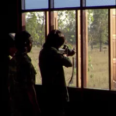 An Evening Shoot