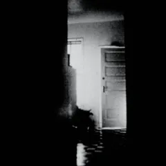 Still from 0116643…