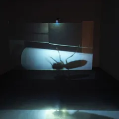 Installation view: Fiction (3)