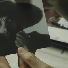 Still from The Desk that Feared (2)