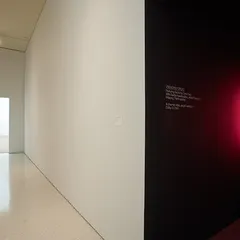 Installation view: Unknown Forces (7)