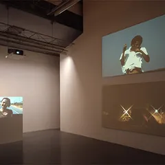 Installation view: Unknown Forces (8)