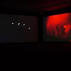 Installation view: Primitive (12)