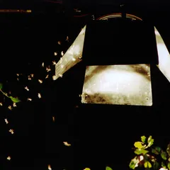 Still from Worldly Desires (19)