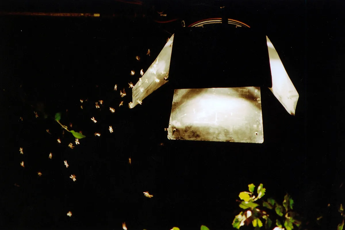 Still from Worldly Desires (20)